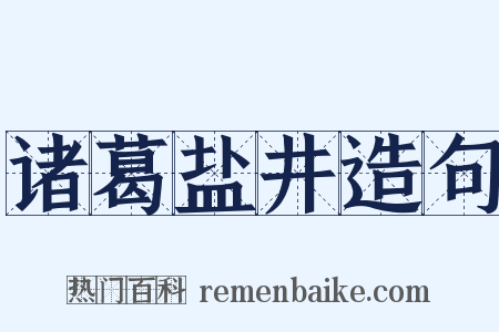 诸葛盐井造句是什么意思的图片